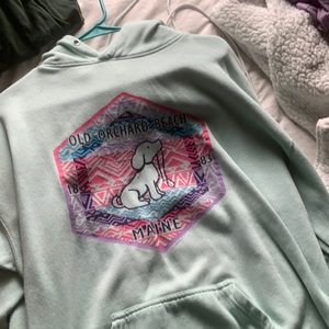 mint green sky blue sweatshirt old orchard beach east coast maine dog sweater